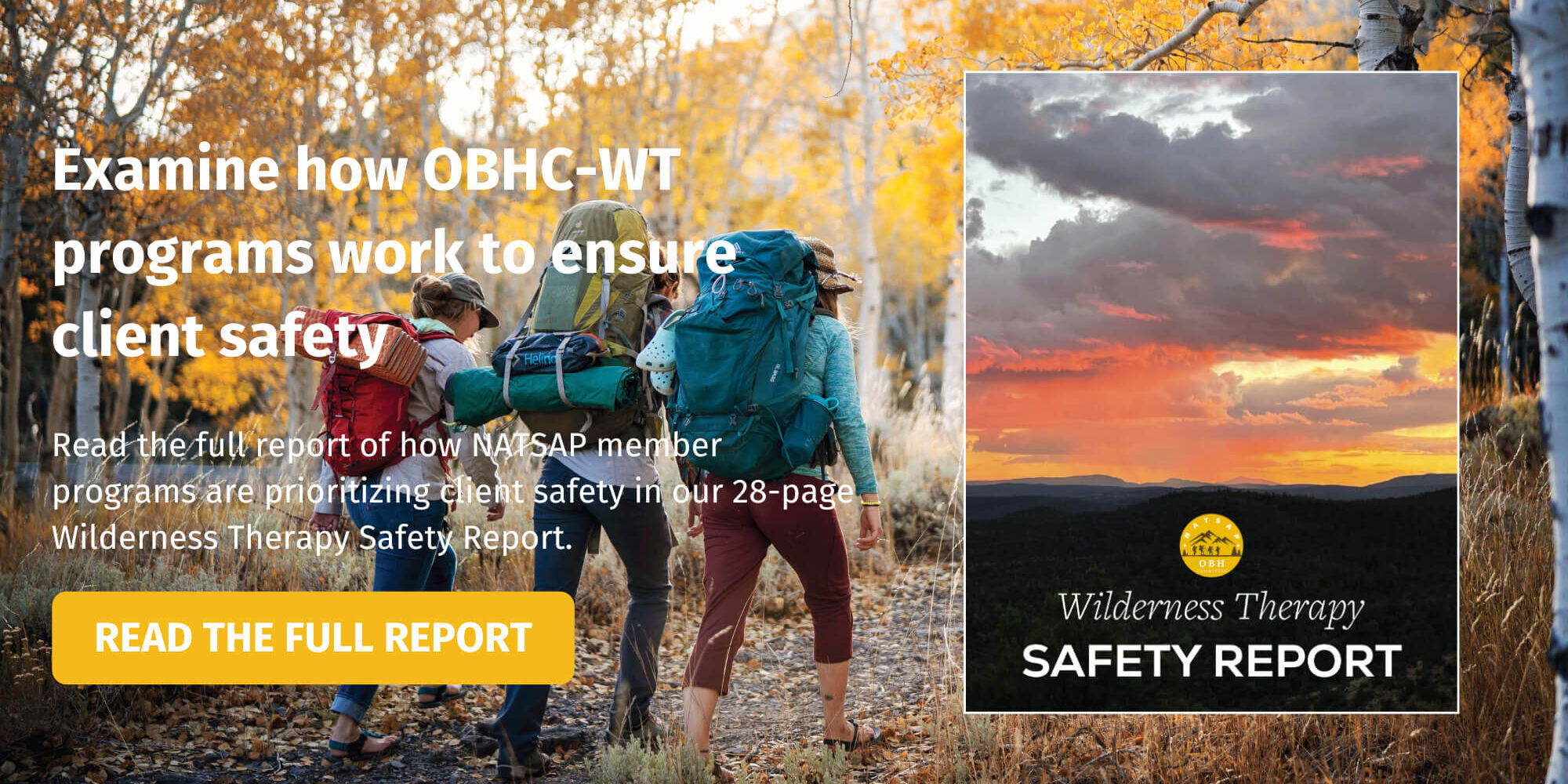 Safety Report img